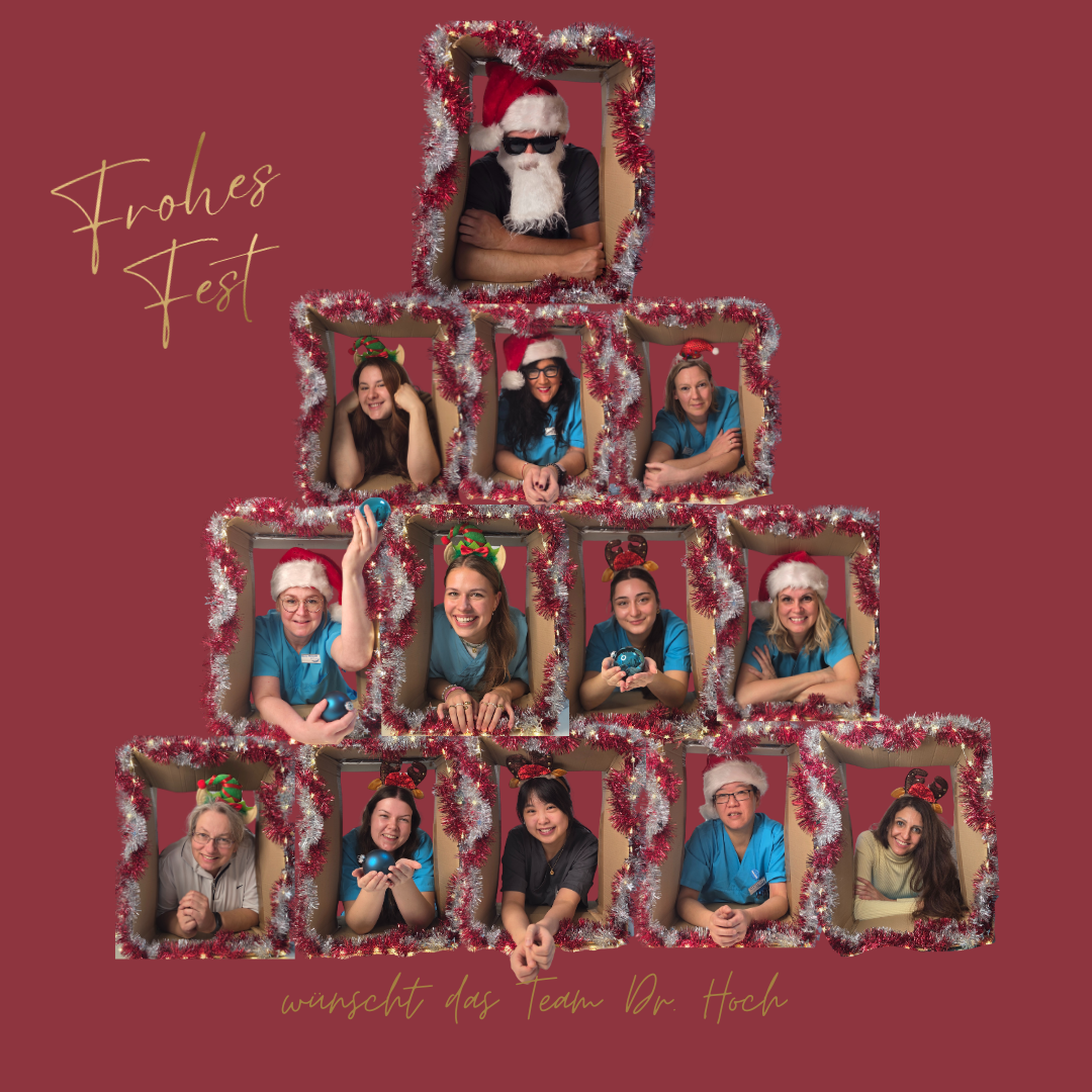 Weihnachtsgruß unseres Praxisteams